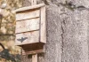 Fledermauskasten den Naturschutz